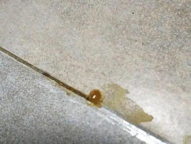 瓷磚美縫失敗,不是什么情況都適合返工(圖1) 瓷磚美縫失敗,不是什么情況都適合返工(圖1)